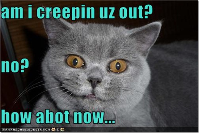 funny-pictures-cat-is-creepy