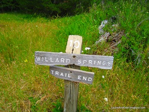 Willard Springs, end of the trail