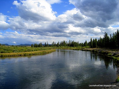Madison River at Bakers Hole Campground