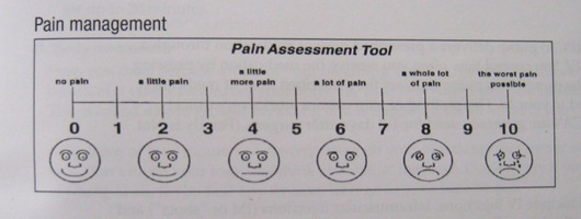 Pain Assessment tool