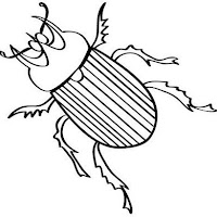 escarabajo.jpg