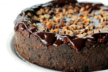 Dark Chocolate Cheesecake with Chocolate Hazelnut Ganache, Toasted Hazelnuts, &amp; Sea Salt