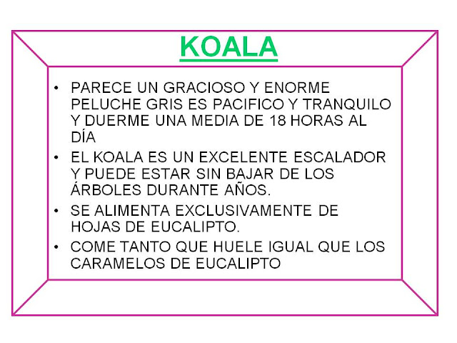 KOALA FICHA INFANTIL DEL KOALA