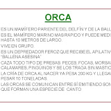 Diapositiva24-1.JPG