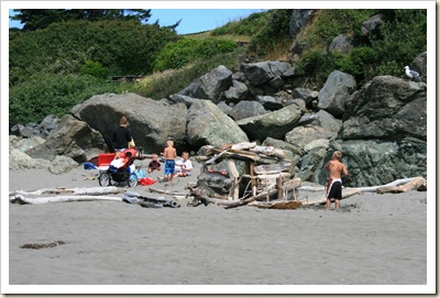 Driftwood Fort - Lone Ranch SP