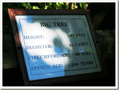 Sign at THE BIG TREE 2