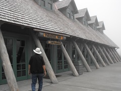 [Mt. Rainier National Park 205[2].jpg]