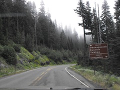 [Mt. Rainier National Park 235[2].jpg]