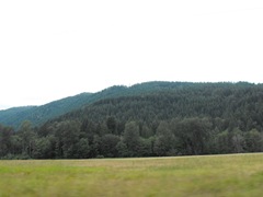 [Mt. Rainier National Park 256[2].jpg]