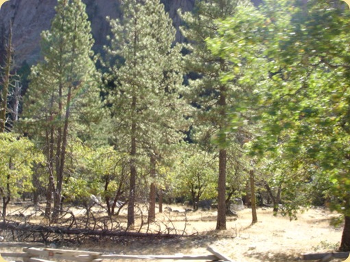 Yosemite National Park, CA 115