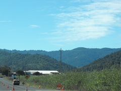[Avenue of the Giants-Ancient Redwoods 016[2].jpg]