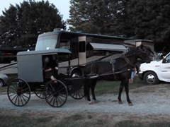 [AmishVendor0112.jpg]