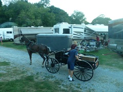 [Amish Visit to Park 024[2].jpg]