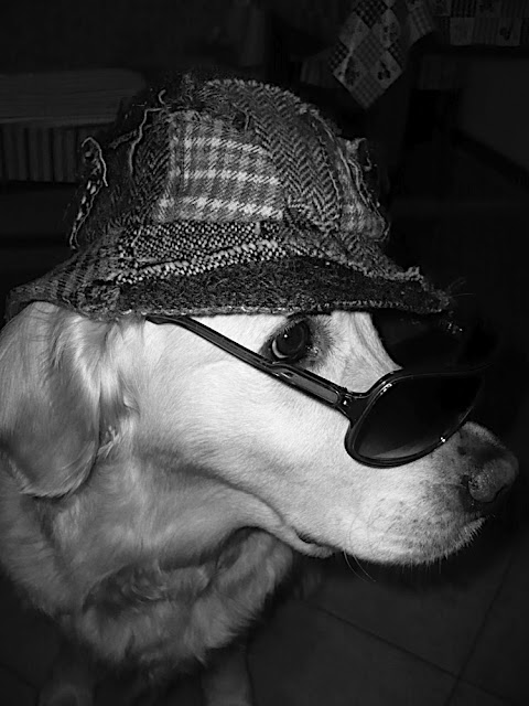 P1010645BW.jpg