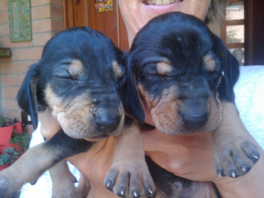 2010-08-29%2013.50.07.jpg