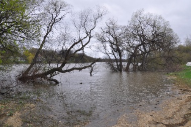 DSC_0505.jpg DSC 0505