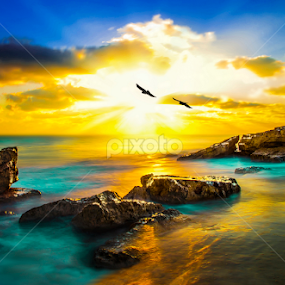 GOLDEN BEACH by Nasser Osman - Landscapes Sunsets & Sunrises