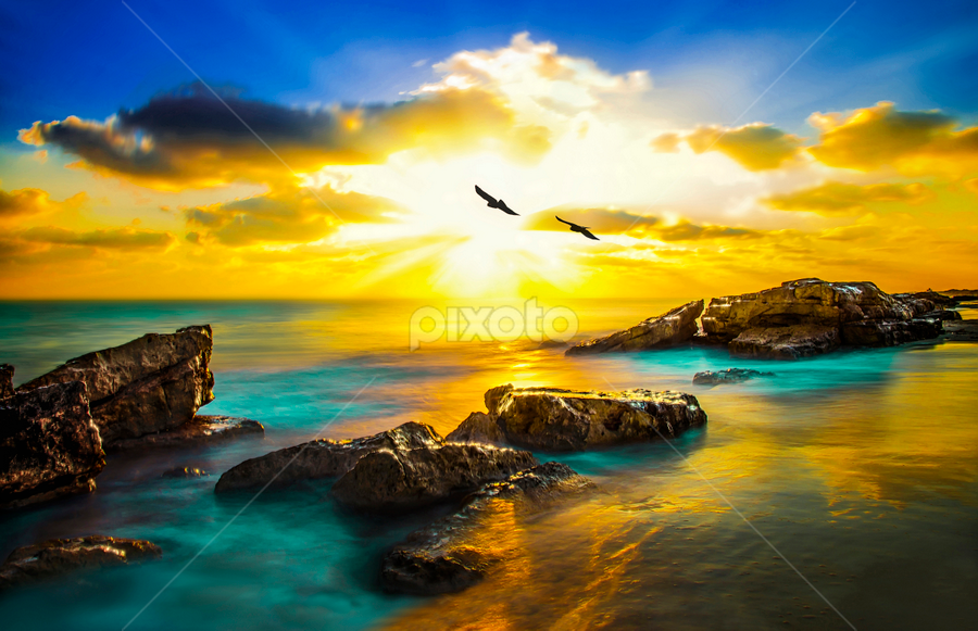 GOLDEN BEACH by Nasser Osman - Landscapes Sunsets & Sunrises