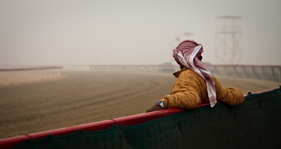 A day at the (camel) races (8 of 14)