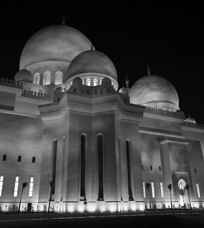 Grand Mosque at Night  (8 of 22)