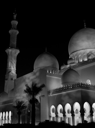 Grand Mosque at Night  (16 of 22)