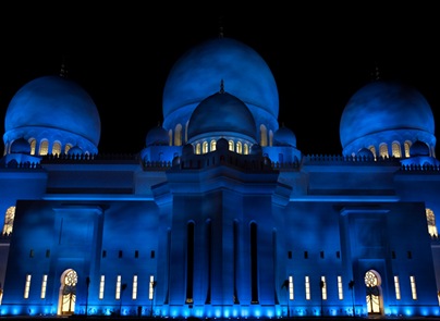 Grand Mosque at Night  (10 of 22)