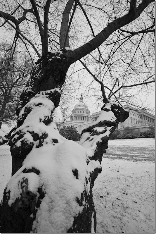 US Capitol at Christmas-4