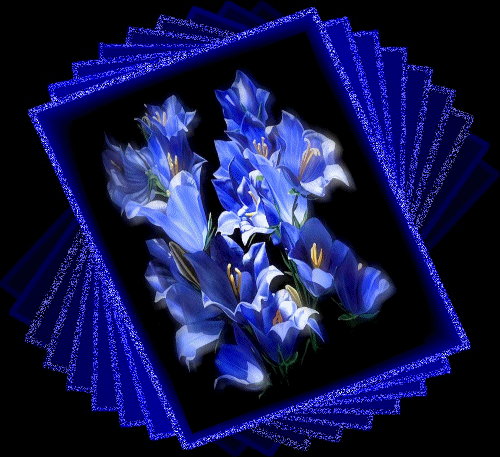 65.png