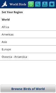 World Birds Demo Screenshots 6