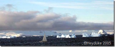 sailboat and bergs