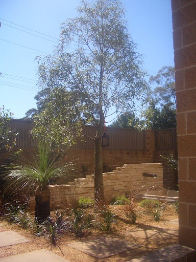 CIMG6193-1.JPG