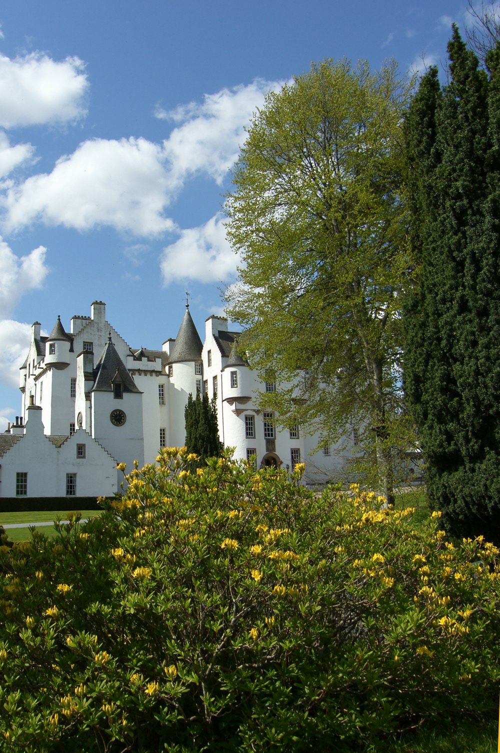 [May+Photograph+Gardens+Blair+Castle+Scotland.jpg]