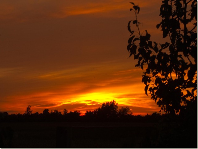 Lincolnshire Sunset