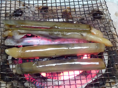 潮干狩り マテ貝 玄界灘のほとり