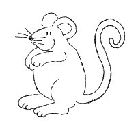 raton.jpg