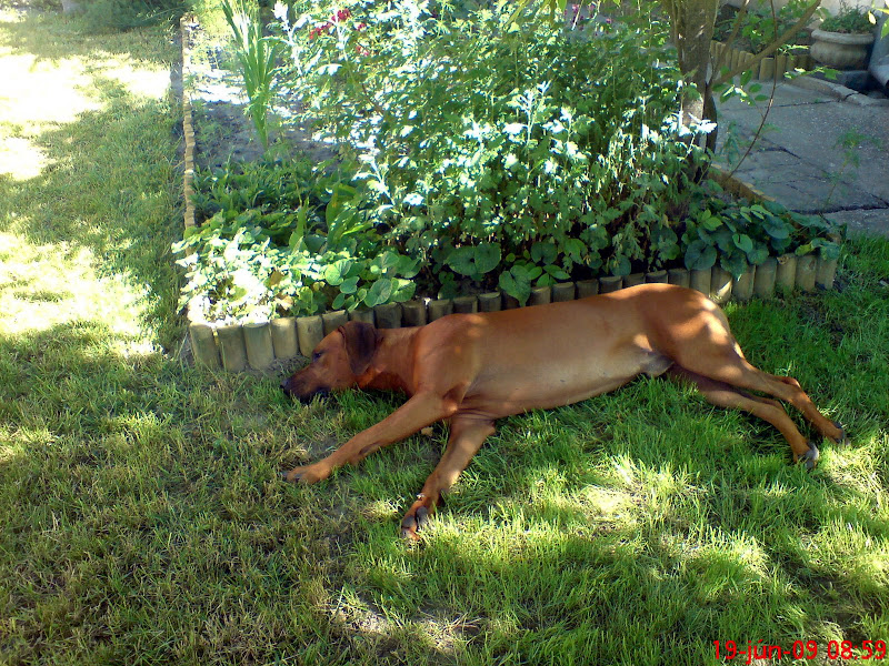 DSC00024.JPG
