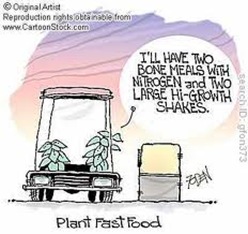 plant fasf food