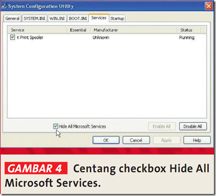 System Configuration Utility Hide Microsoft Service