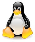 Secure Your Linux Server
