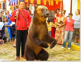circo_dancing-bear