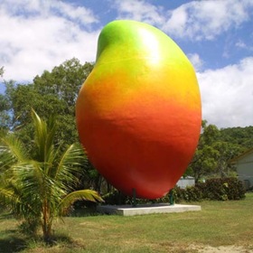 [2-3142_Giant_Mango[2].jpg]