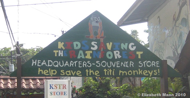 [kids saving the rainforest[6].jpg]