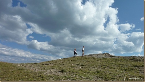 Elephant mountain hike_20090825_190