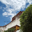 Lhasa-White.JPG