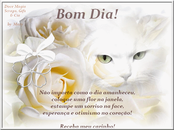 0BDiacat8.gif