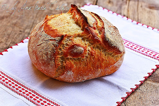 5No knead bread _ Paine neframantata