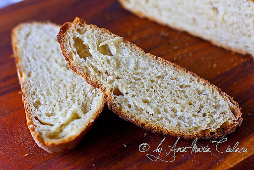 2No knead bread _ Paine neframantata