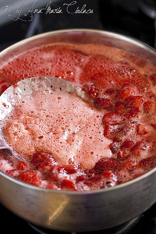 [7Dulceata de capsune[22].jpg]