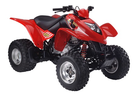 Kymco Mongoose 250 ATV 2008