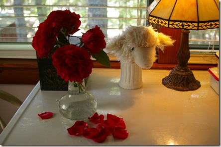 Roses in full bloom with a sheep golf club cover on table